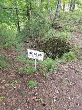 要害山城の登城記録(ひでちゃんさん)