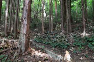 要害山城の登城記録(こにーさん)