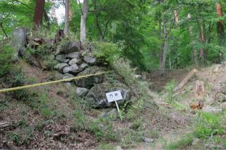 要害山城の登城記録(こにーさん)