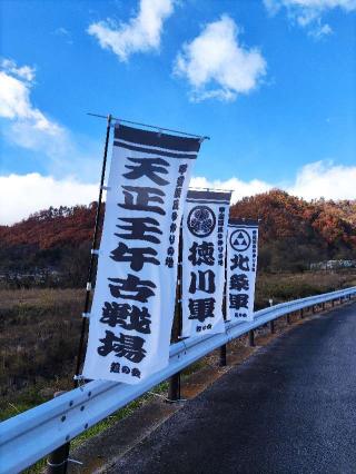 島崎城の登城記録(マリリさん)