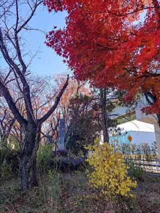 富田城の登城記録(マリリさん)