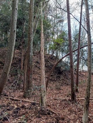 真篠砦の登城記録(マリリさん)