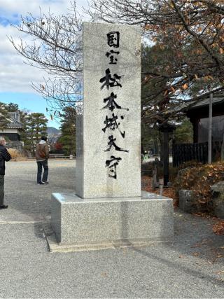 松本城（深志城）の登城記録(チョコ康さん)