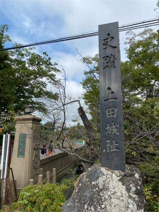 上田城の登城記録(花宵さん)