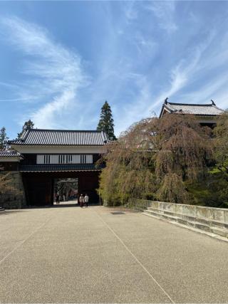 上田城の登城記録(ゆんぼさん)