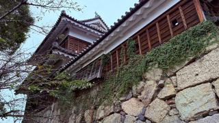 上田城の登城記録(ひろさん)