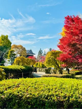 上田城の登城記録(菜の穂　さん)