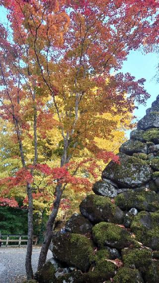 小諸城の登城記録(くぺさん)