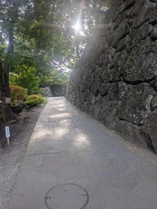 小諸城の登城記録(千　百万さん)