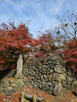 小諸城の登城記録(たくまささん)