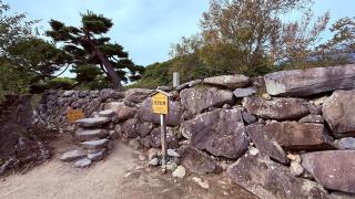 小諸城の登城記録(ひろさん)