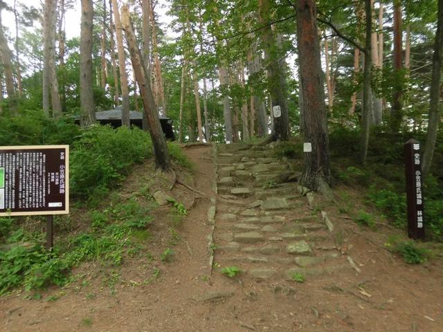 長野県松本市里山辺 林城の写真1