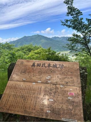 真田本城の登城記録(しえるさん)