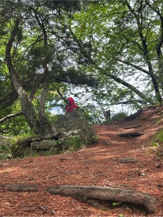 真田本城の登城記録(しえるさん)