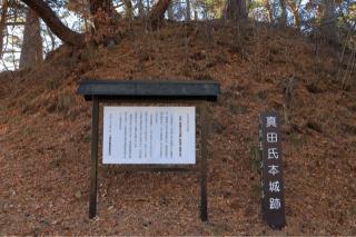 真田本城の登城記録(こにーさん)