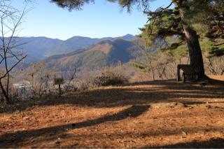 真田本城の登城記録(こにーさん)