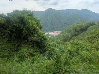 真田本城の登城記録(千　百万さん)