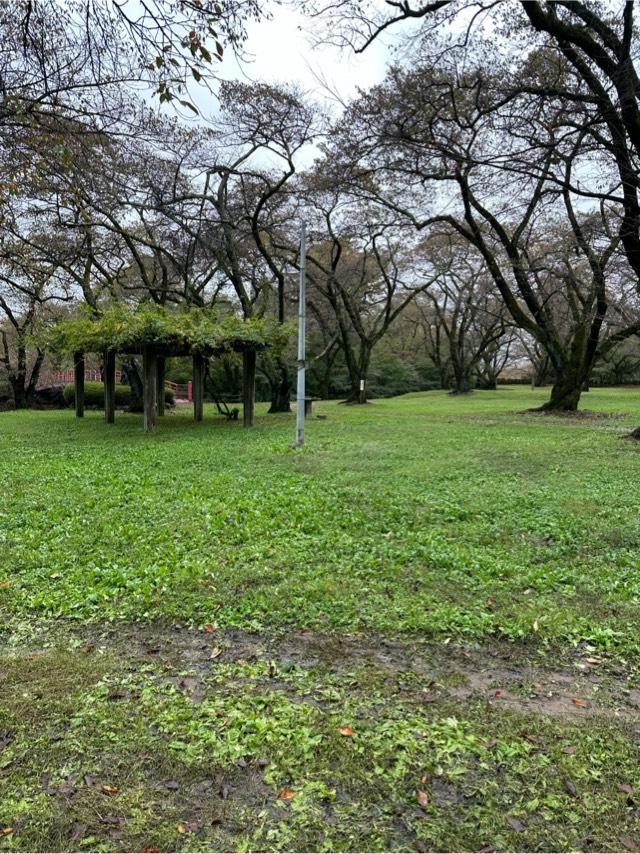 長野県伊那市西町 春日城〈伊那郡〉の写真3