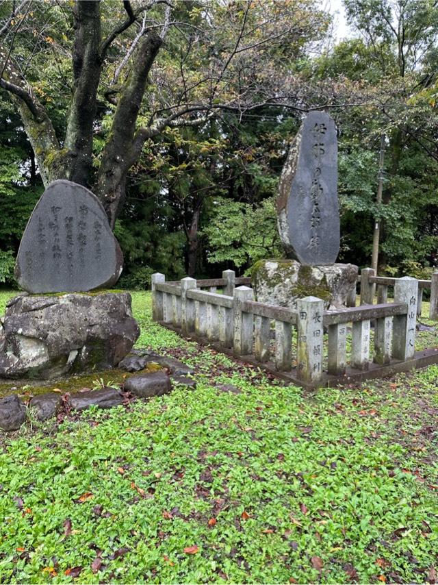 長野県伊那市西町 春日城〈伊那郡〉の写真5