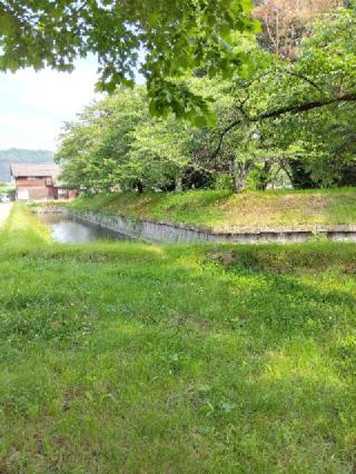 龍岡城の登城記録(ゴン太さん)