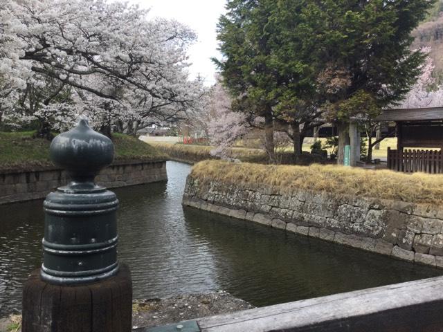 長野県佐久市田口３０００ 龍岡城の写真6