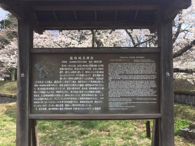 長野県佐久市田口３０００ 龍岡城の写真7