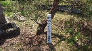 龍岡城の登城記録(オカドンさん)