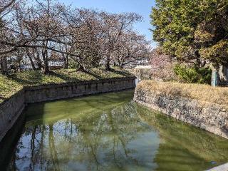 龍岡城の登城記録(ミヤリンさん)