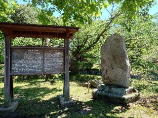 龍岡城の登城記録(角ちやんさん)