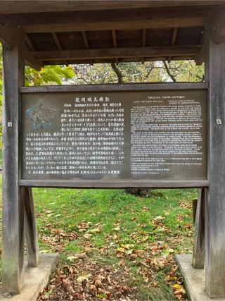 龍岡城の登城記録(監督さん)