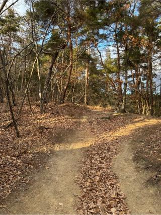 戸石城（砥石城）の登城記録(清正さん)