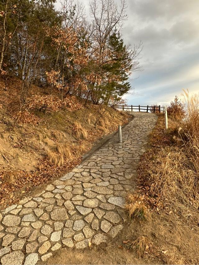 長野県上田市上野 戸石城（砥石城）の写真4