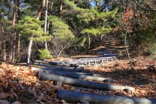 戸石城（砥石城）の登城記録(こにーさん)
