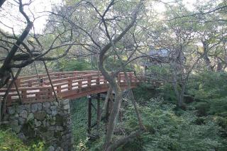 高遠城の登城記録(りょうまさん)