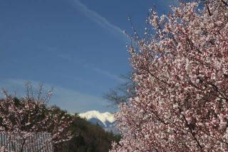 高遠城の登城記録(りょうまさん)