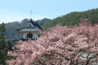 高遠城の登城記録(りょうまさん)