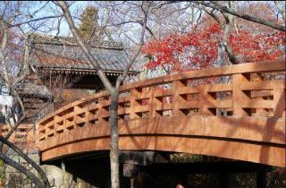 高遠城の登城記録(ミヤリンさん)