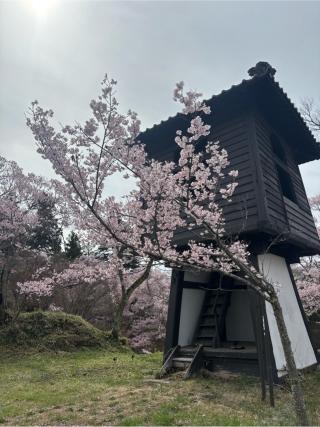 高遠城の登城記録(まるまるさん)