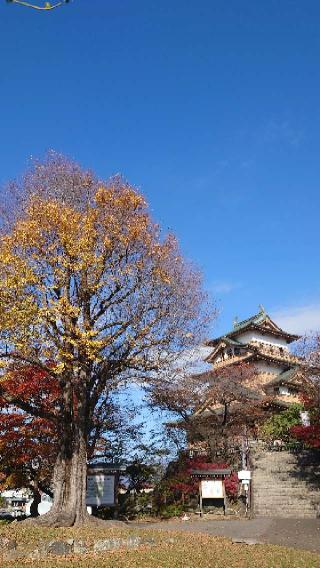 高島城の登城記録(くぺさん)