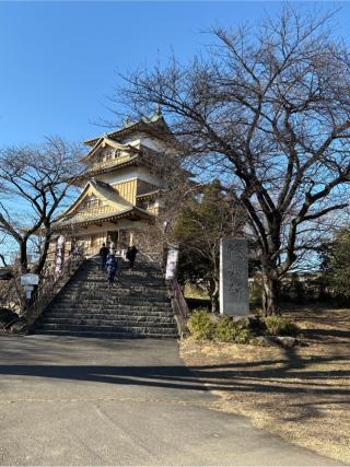 高島城の登城記録(チョコ康さん)