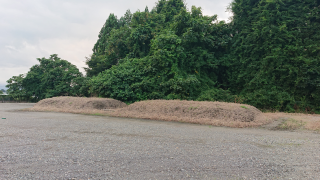 新宮城の登城記録(マリリさん)