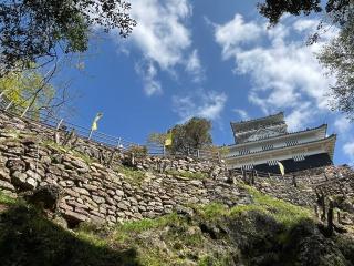 岐阜城（美濃國井之口の山館、稲葉山城、金華山城、井口城）の登城記録(7372さん)
