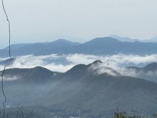 岐阜城の登城記録(シヨウさん)