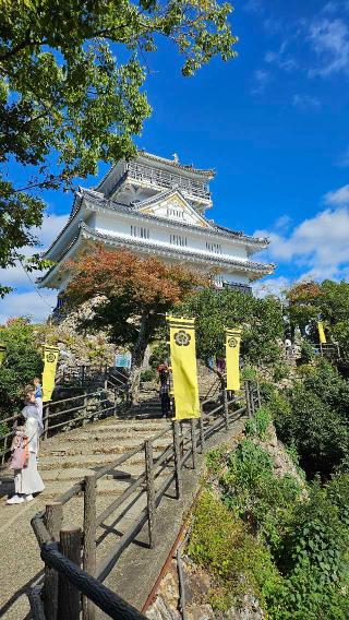 岐阜城の登城記録(にゃんぞうさん)