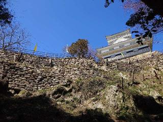 岐阜城（美濃國井之口の山館、稲葉山城、金華山城、井口城）の登城記録(本多百助さん)