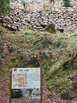 岐阜城（美濃國井之口の山館、稲葉山城、金華山城、井口城）の登城記録(気分は上昇さん)