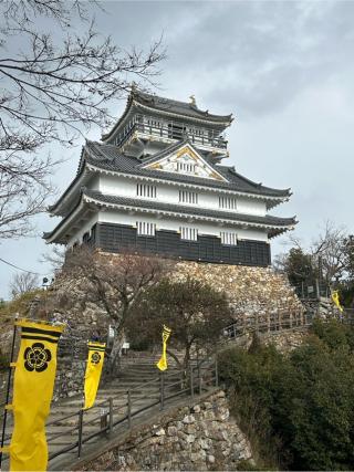 岐阜城（美濃國井之口の山館、稲葉山城、金華山城、井口城）の登城記録(yossiさん)