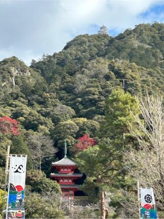 岐阜城（美濃國井之口の山館、稲葉山城、金華山城、井口城）の登城記録(yossiさん)