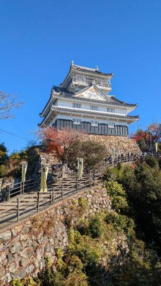 岐阜城（美濃國井之口の山館、稲葉山城、金華山城、井口城）の登城記録(ぎゅ～さん)