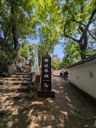 岐阜城（美濃國井之口の山館、稲葉山城、金華山城、井口城）の登城記録(びのさん)